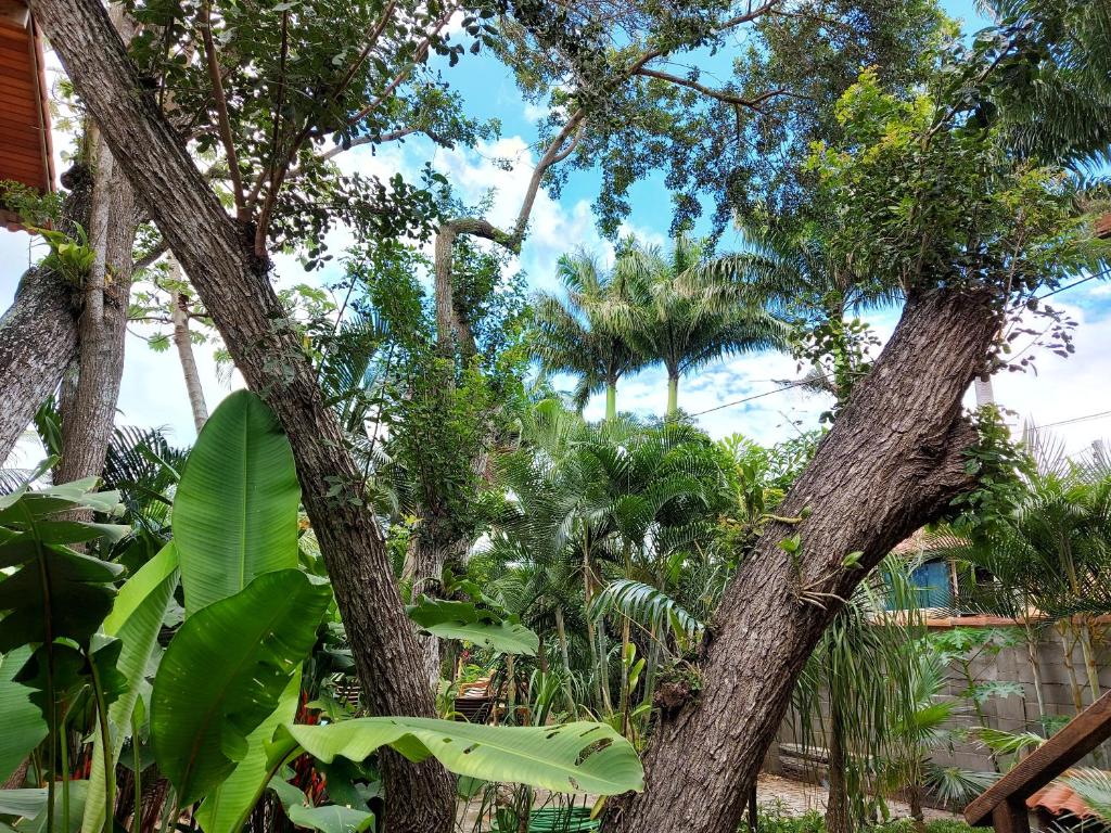 Pousada Imperial room 3