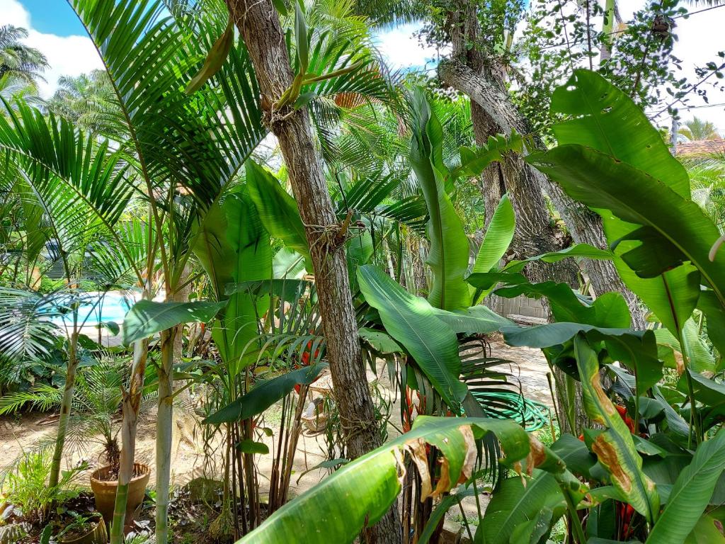 Pousada Imperial room 5